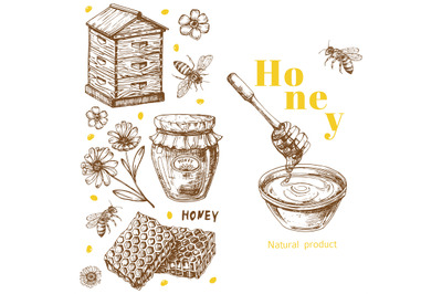 Retro vector honey background template with hand drawn elements