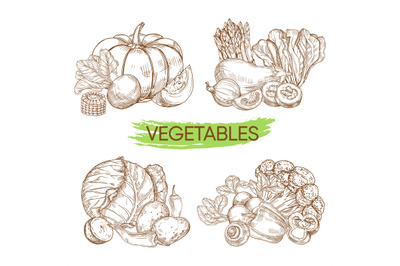 Hand sketched vector vegetables isolated on white background