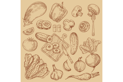 Organic fresh vegetables hand drawn sketch collection