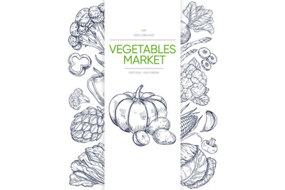 Vegetable markets banner template with hand drawn green