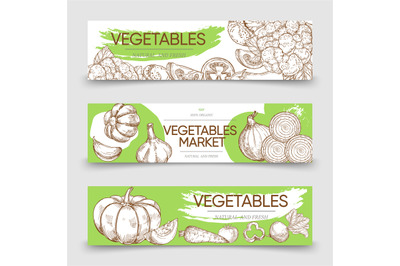 Vegetable markets horizontal banners template with vector sketch veget