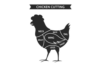 Chicken cuts vector illustration isolated on white background