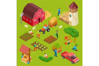 Fruits and vegetables farm, isometric gardening vector concept