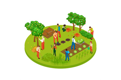 Gardening workers, fruit tree and plants isometric vector illustration