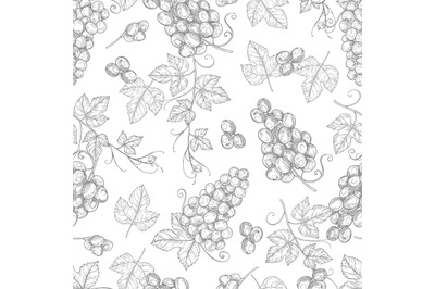 Sketch grapes seamless pattern vector texture background