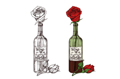 Hand drawn sketched rose in wine bottle vector illustration