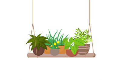 Indoor home plants on the hanging shelf vector illustration