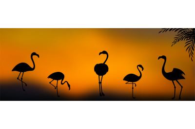 Vector group of flamingo silhouettes at sunset background