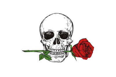 Hand drawn happy human skull with red rose - sketched skull printable