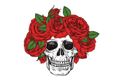 Hand drawn skull with roses head wreath vector isolated on white backg