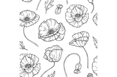 Poppy seamless pattern. Poppies flower sketch drawing wall artwork pla