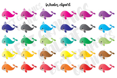 Whales Clipart Marine Life Baby Whale