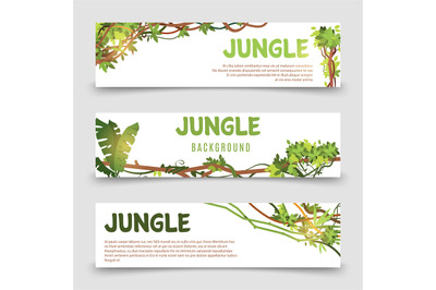 Tropical plants vector banner. Jungle leaves and lianes banner templat