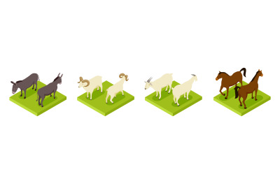 Isometric hoofed cattle. Dunkey&2C; horse&2C; ram and goat 3d vector collect