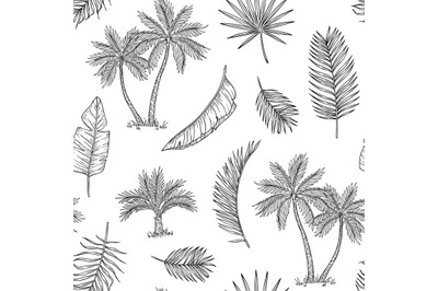 Palm tree seamless background. Tropical coconut palm, exotic island. V