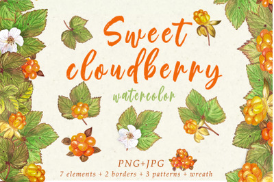 Sweet cloudberry
