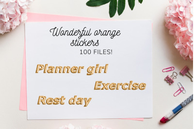 Cute Orange Balloon Stickers for Planners