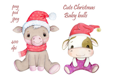 Cute  Christmas Baby Bulls. Watercolor illustrations.