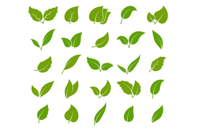 Leaves green icon set. Elegance shapes young trees botanical elements,