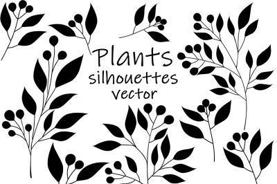Silhouettes plants. Flowers silhouettes. Leaves silhouettes