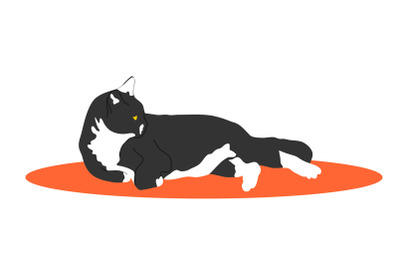 Cute white and black cat resting in orange mat. Pet cartoon.