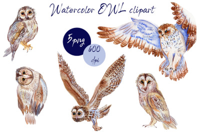 BOHO owl clipart.Watercolor woodland.