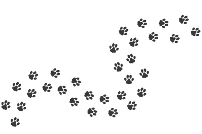 Cat footprints. Cats or dogs travel footprints. Black domestic animals