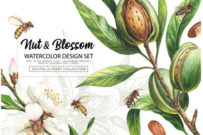 Nut &amp; Blossom watercolor design set