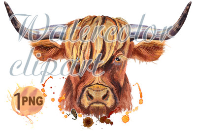 Watercolor illustration of a brown long-horned bull