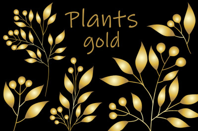 Golden plants. Flowers golden. Leaves golden. Flowers SVG