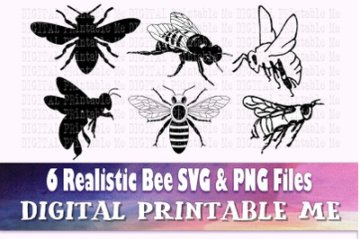 Bees svg bundle, realistic bee silhouette outline, PNG, clip art, 6 Di