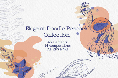 Elegant doodle Peacock clipart Collection
