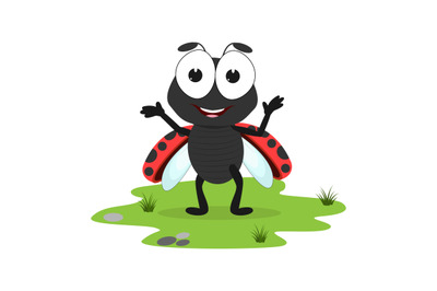 ladybug animal cartoon