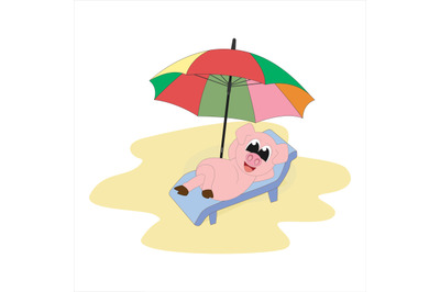 pig on the beach