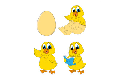 chick animal cartoon