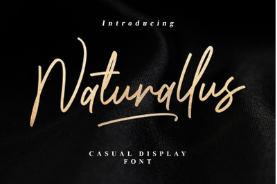Naturallus Stylish Font