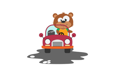 bear ride a car