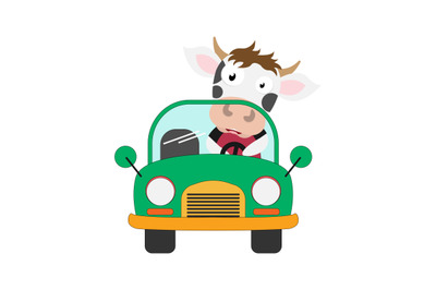 cow ride a car