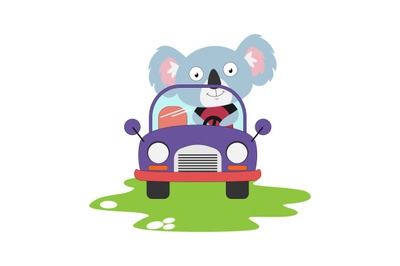 koala ride a car