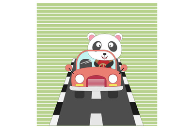 panda ride a car