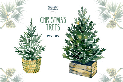 Watercolor Christmas trees clipart