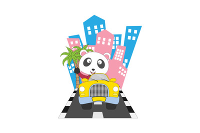 panda ride a car