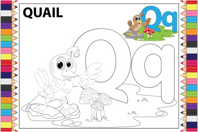 coloring quail animal cartoon for kids