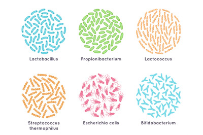 Probiotic bacteria. Good microorganisms for healthy bacterial flora, m