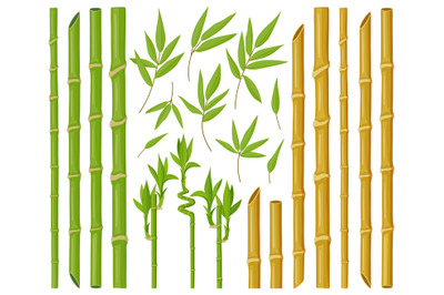 Cartoon bamboo plants. Asian bamboo stems, stalks and leaves, fresh gr