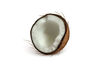 Coconut Half Piece Freshness Exotic Nut Vector