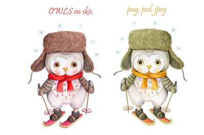 Cute Owls on skis. Watercolor  illustration.