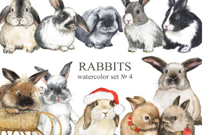 Rabbits watercolor clipart. Fluffy pets, decorative rabbit breeds