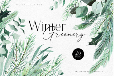 Watercolor christmas greenery clipart, Eucalyptus and pine tree png