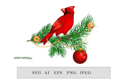 Christmas arrangement with cardinal bird, fir branches, christmas ball